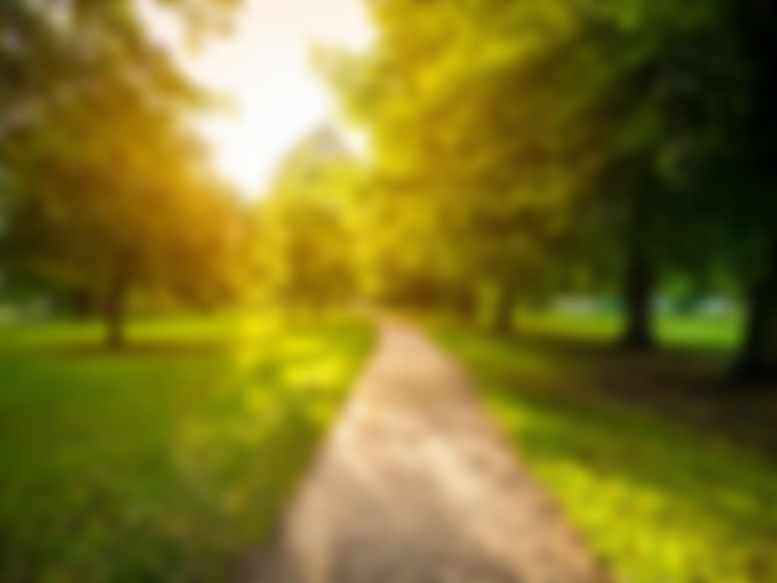 The Retreat Association | Charici