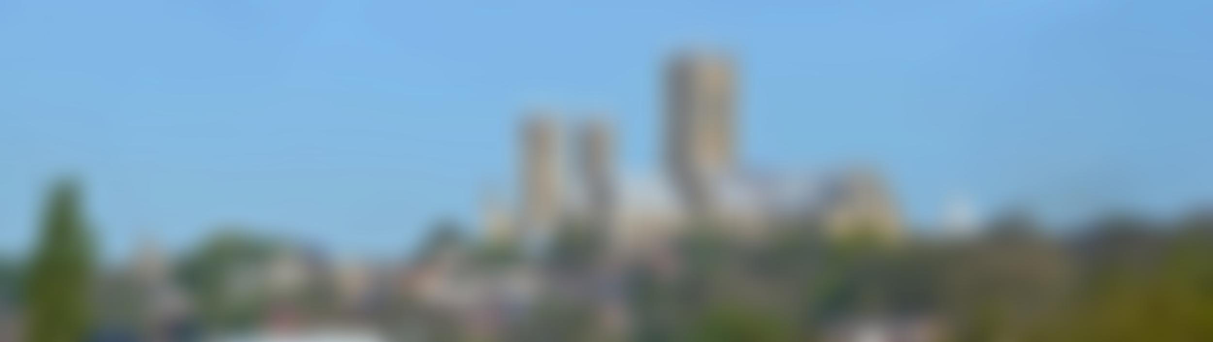 The Association Of The Friends Of Lincoln Cathedral | Charici