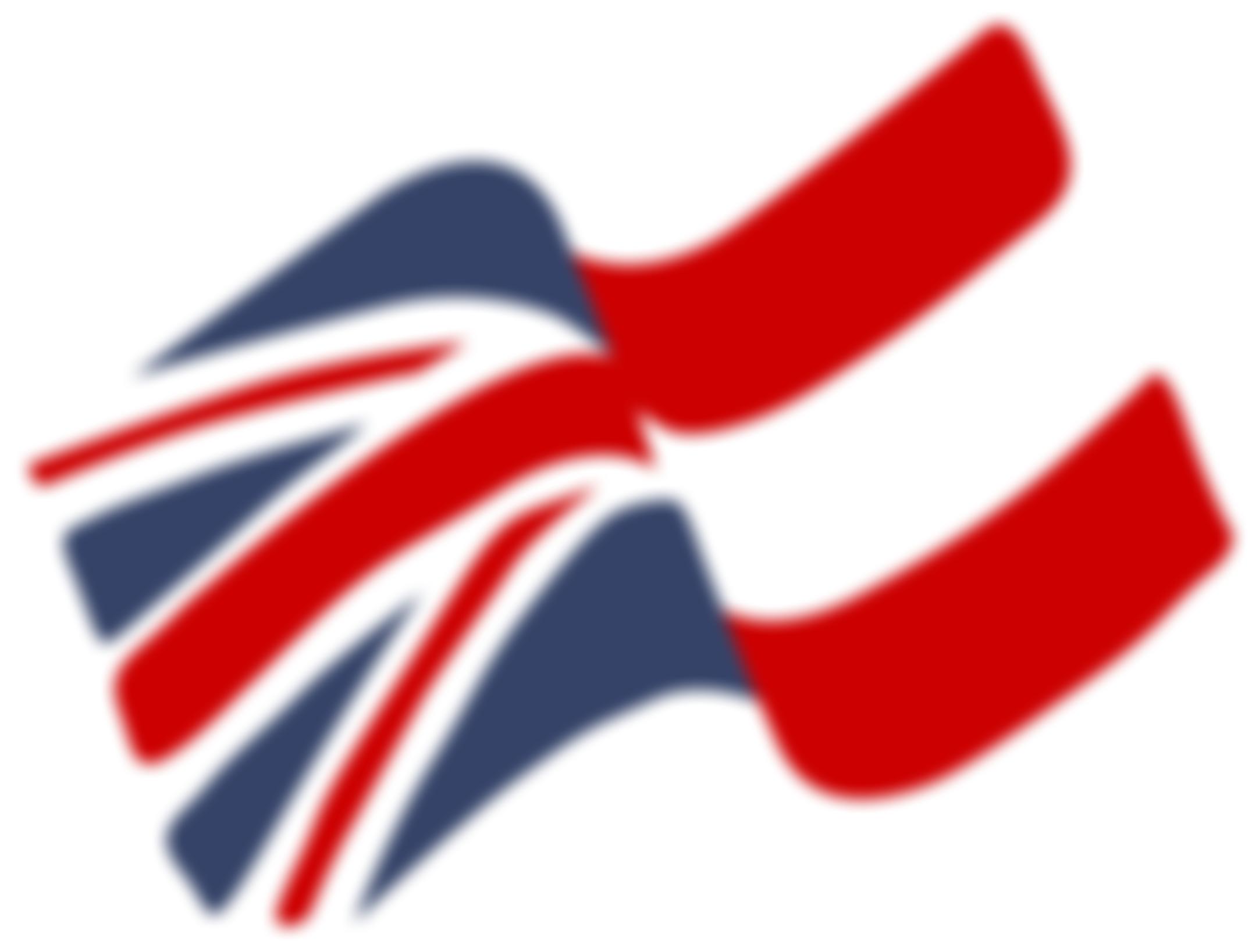 The Anglo-Austrian Society | Charici