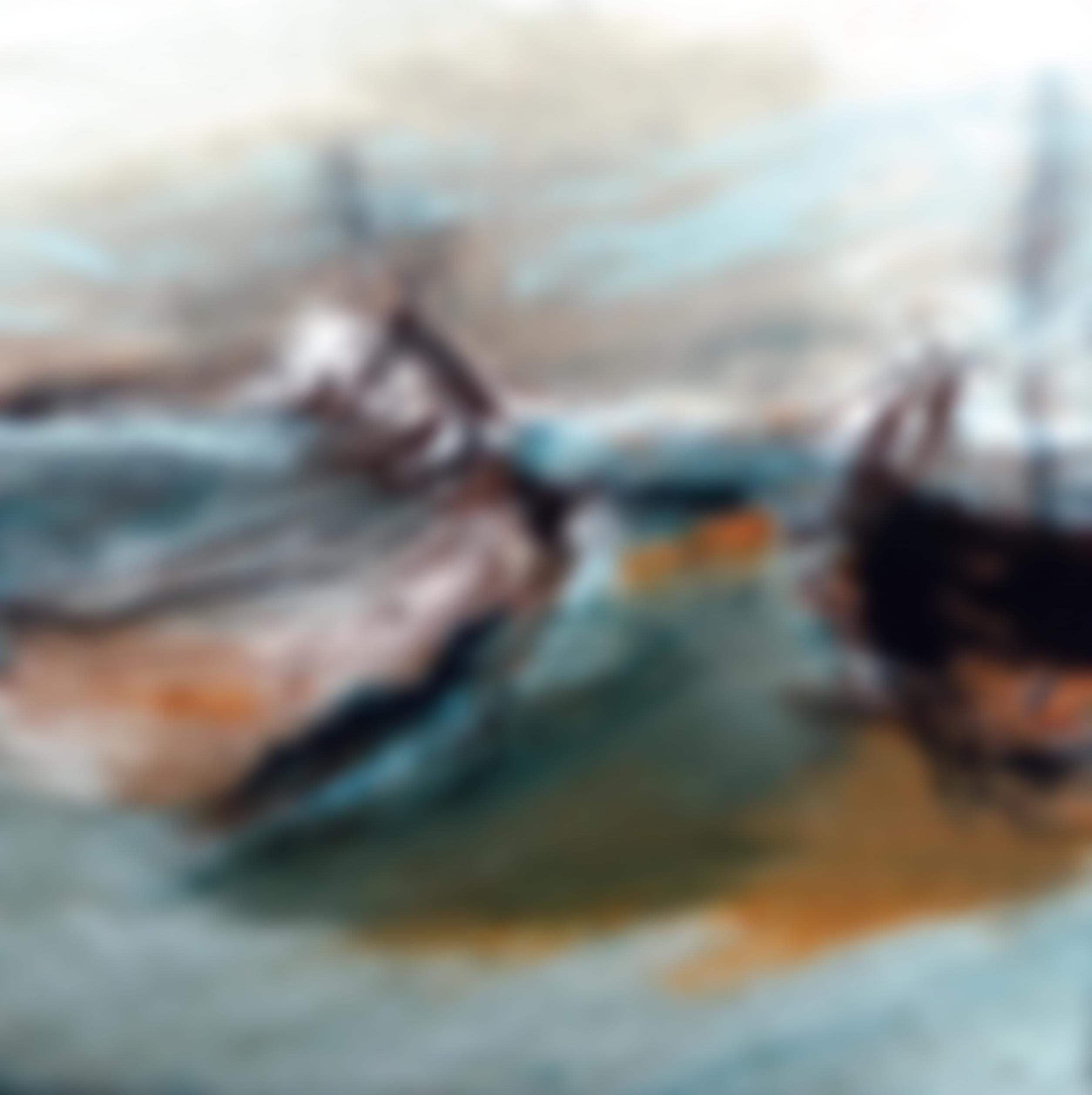 Ipswich Art Society | Charici