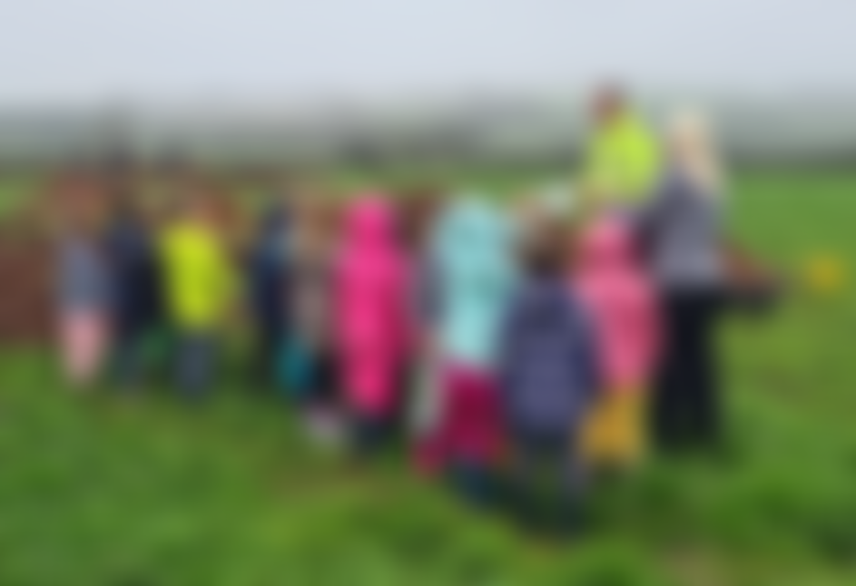 The Clwyd-Powys Archaeological Trust | Charici