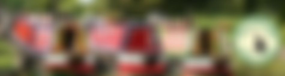 The Saltisford Canal Trust Limited | Charici