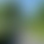 The Yorkshire Dales Society | Charici