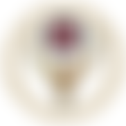 Derbyshire Family History Society | Charici