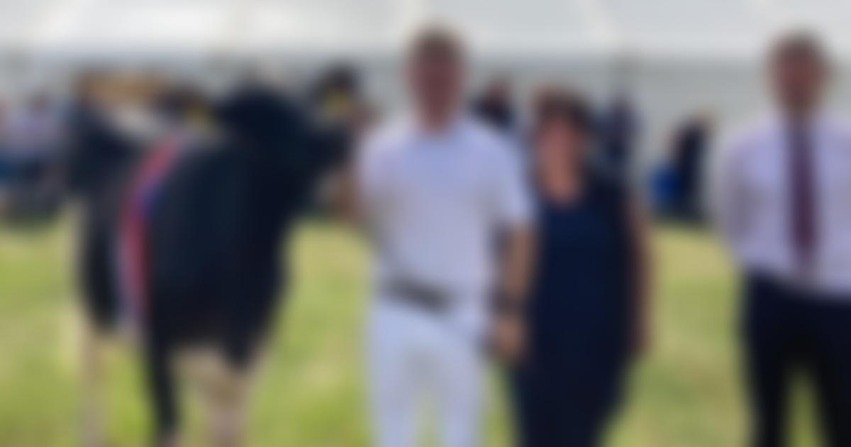 The Border And Lakeland Holstein Club | Charici