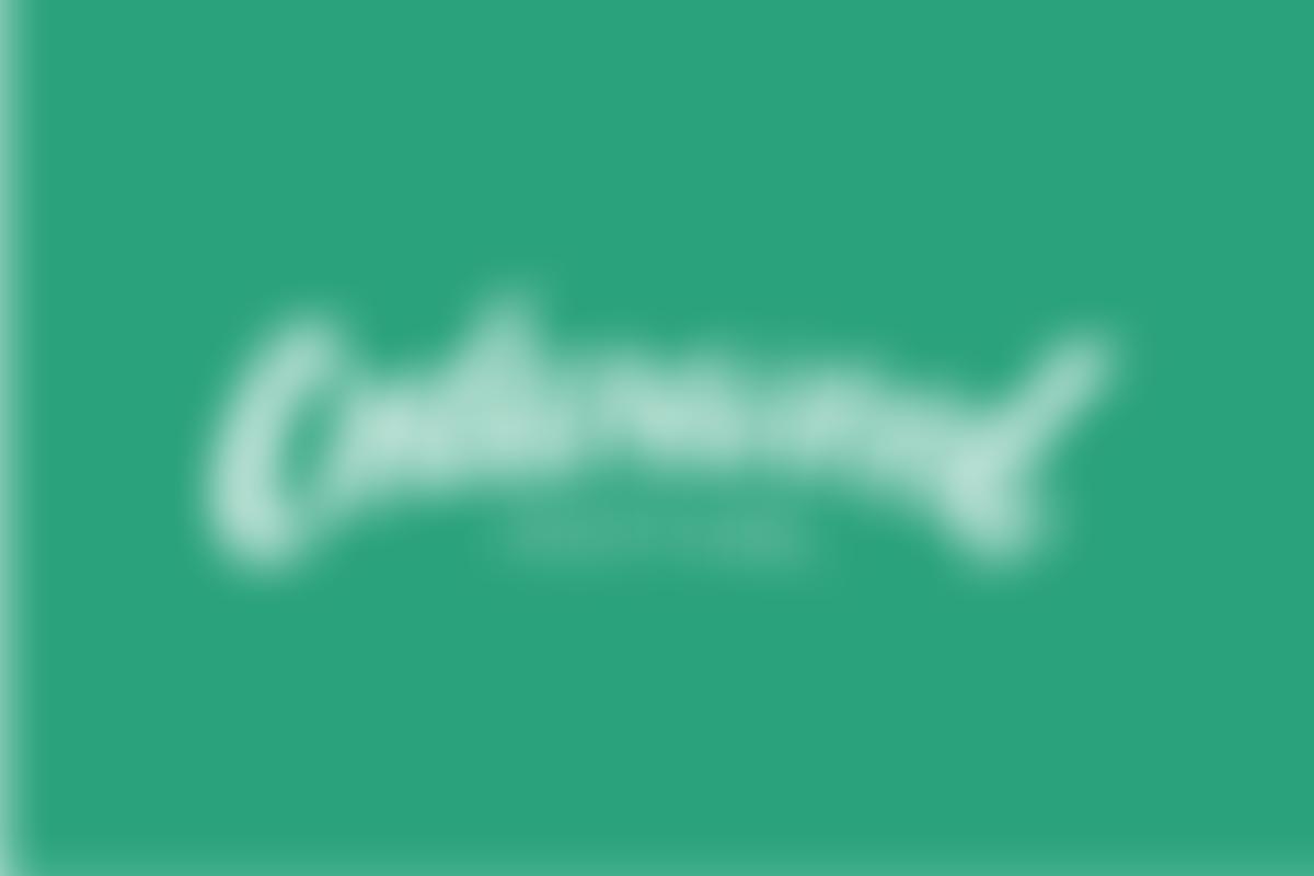 Cedarwood Festival Limited | Charici