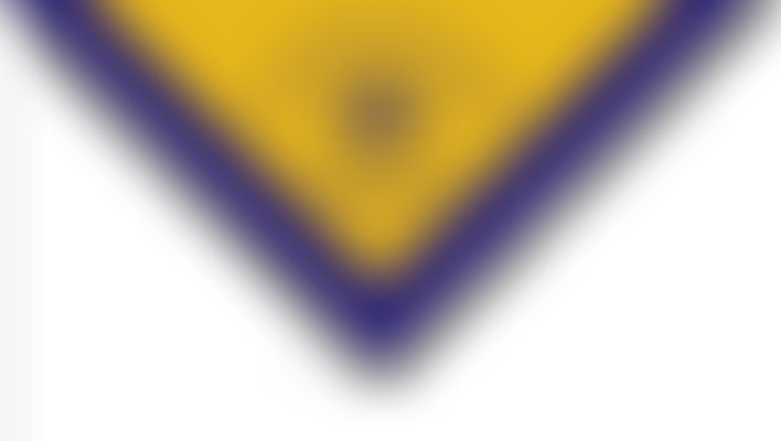 1St Withington Scout Group | Charici