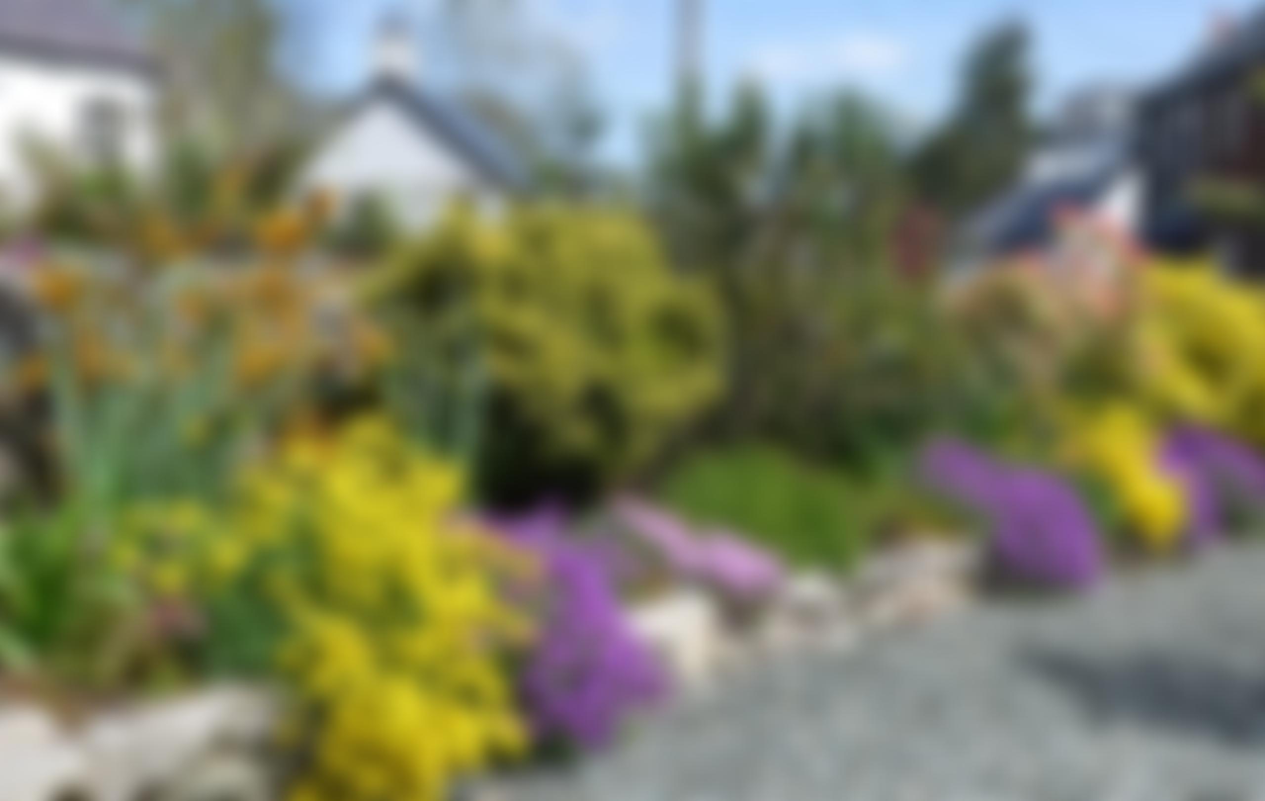 Rowen Memorial Hall | Charici