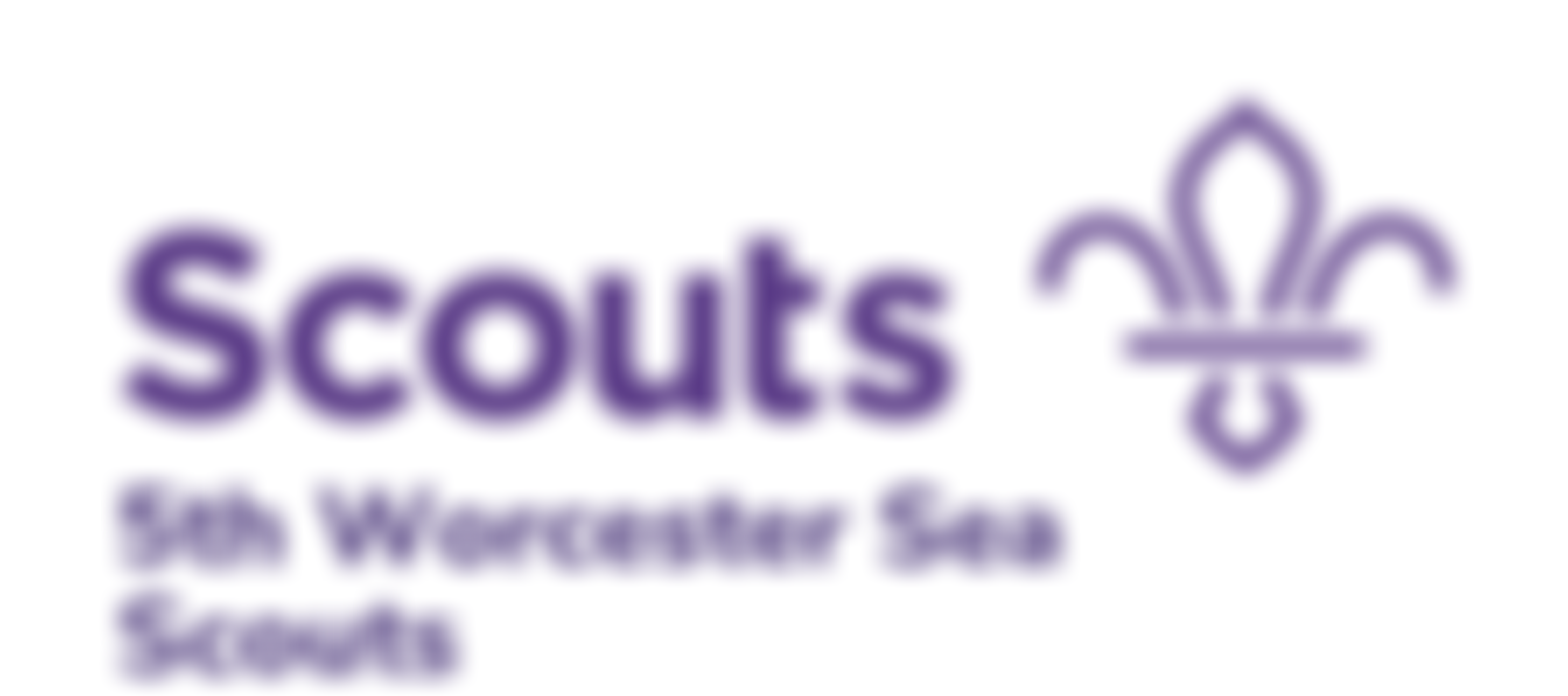5Th Worcester Scout Group | Charici