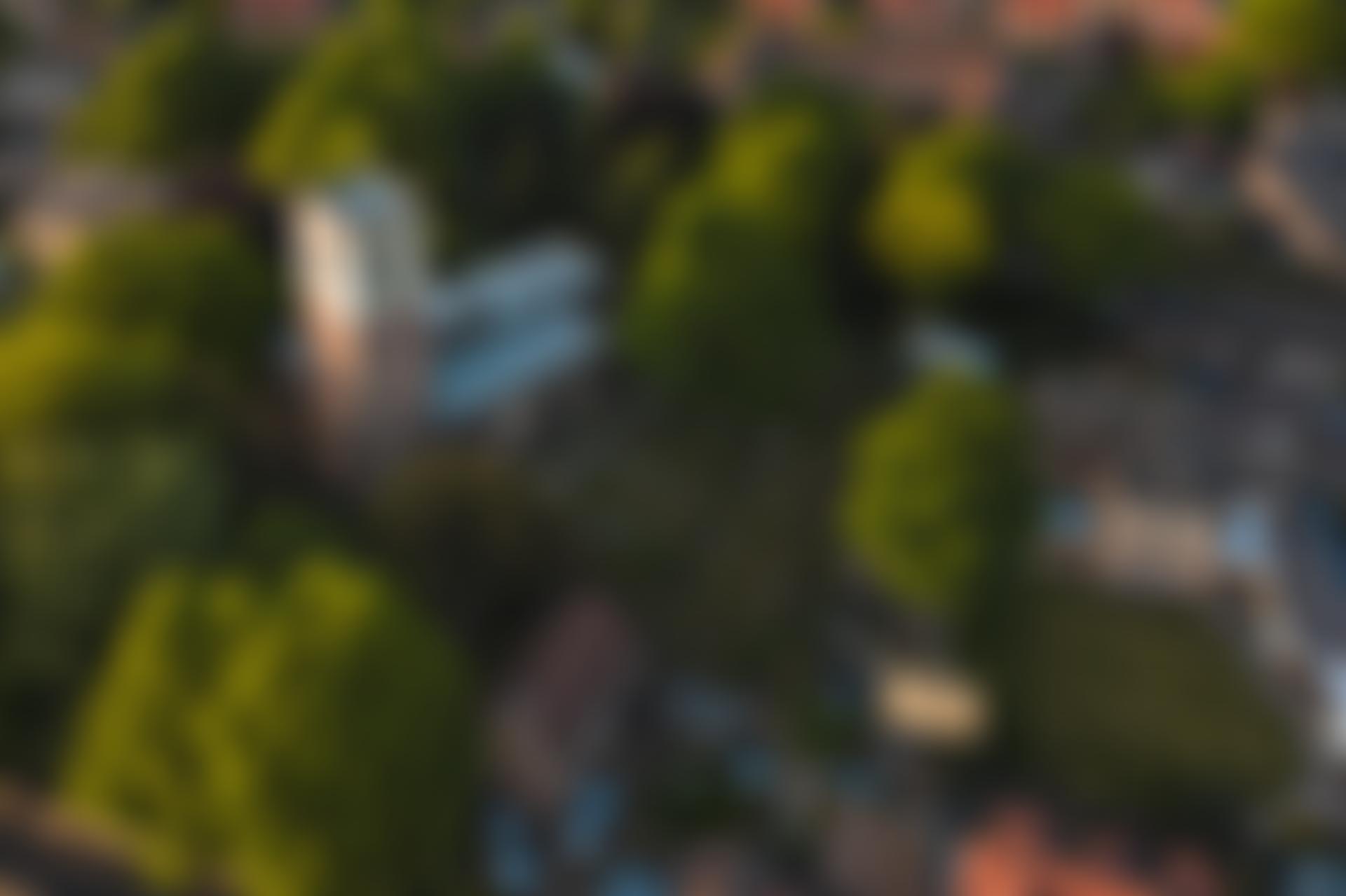 Alice Marples Legacy | Charici