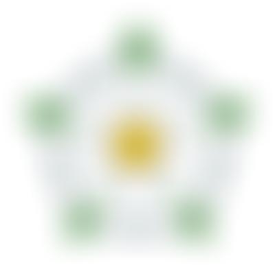 Yorkshire Archaeological And Historical Society | Charici