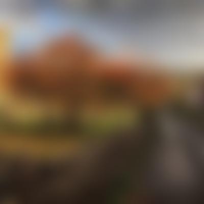 Anne Peirson Charitable Trust | Charici