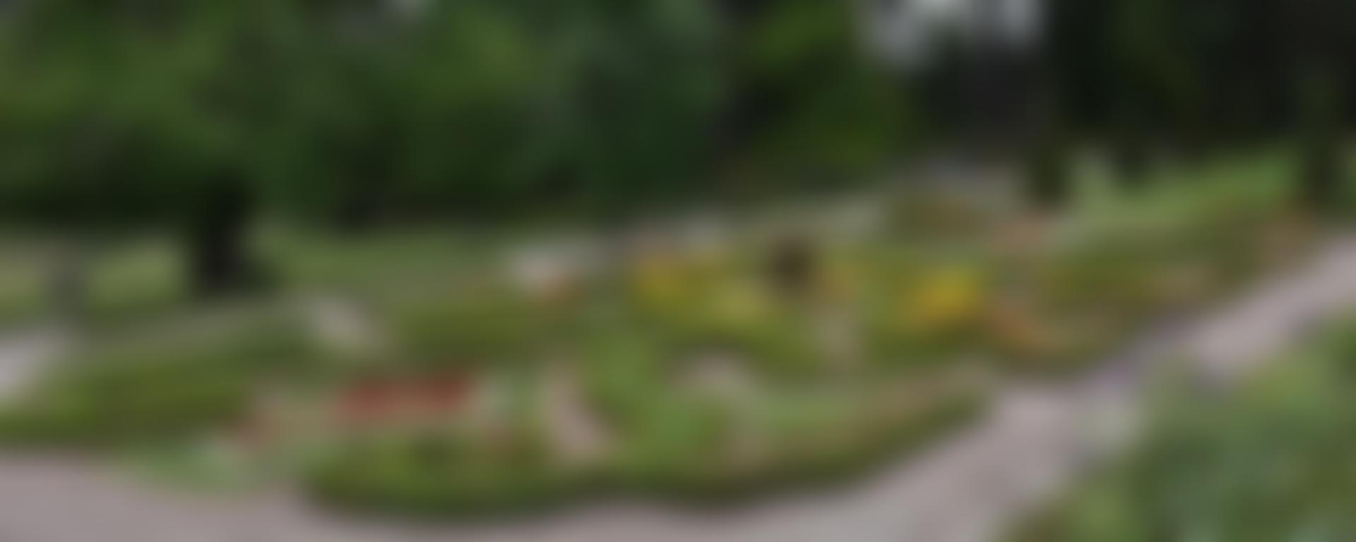 Devon Gardens Trust | Charici