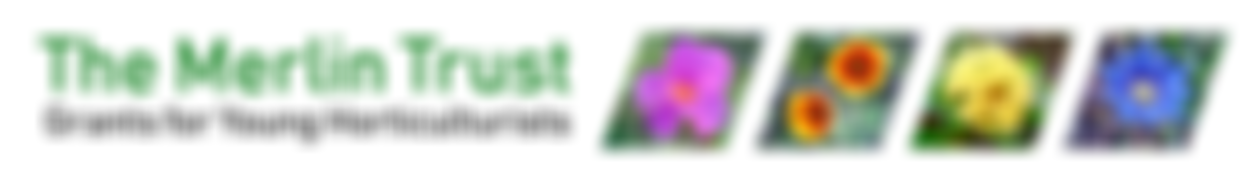 The Merlin Trust | Charici