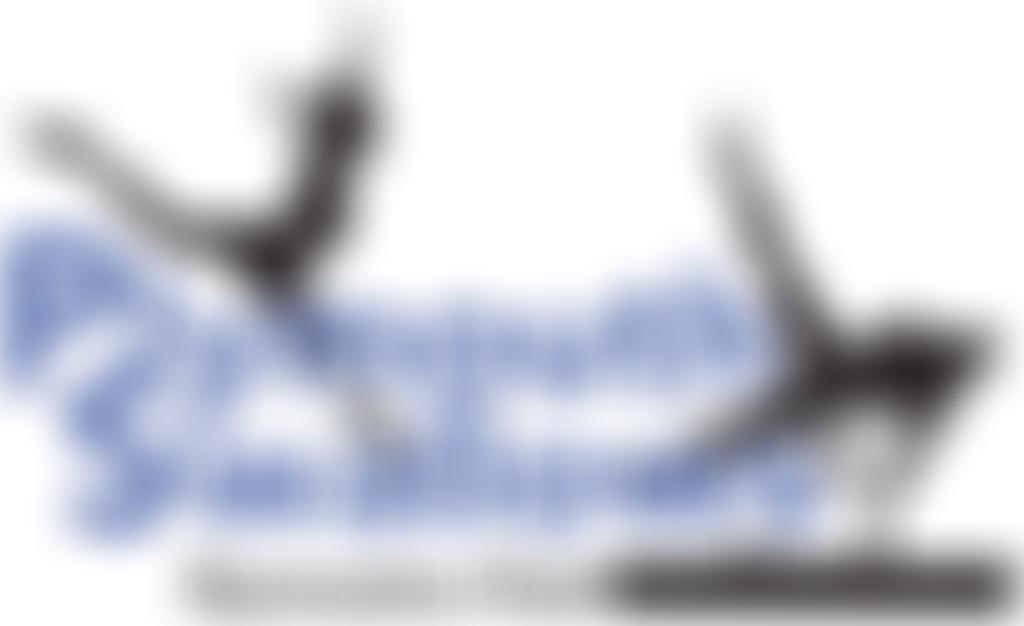 Plymouth Swallows School Of Gymnastics | Charici