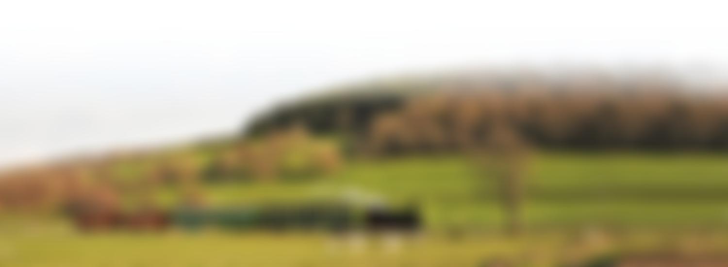 Welshpool And Llanfair Light Railway Preservation Co. Limited | Charici