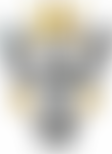 The Museum Of The Mercian Regiment (Worcestershire & Sherwood Foresters Collection) | Charici