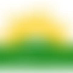 Sunnyhill Community Association | Charici
