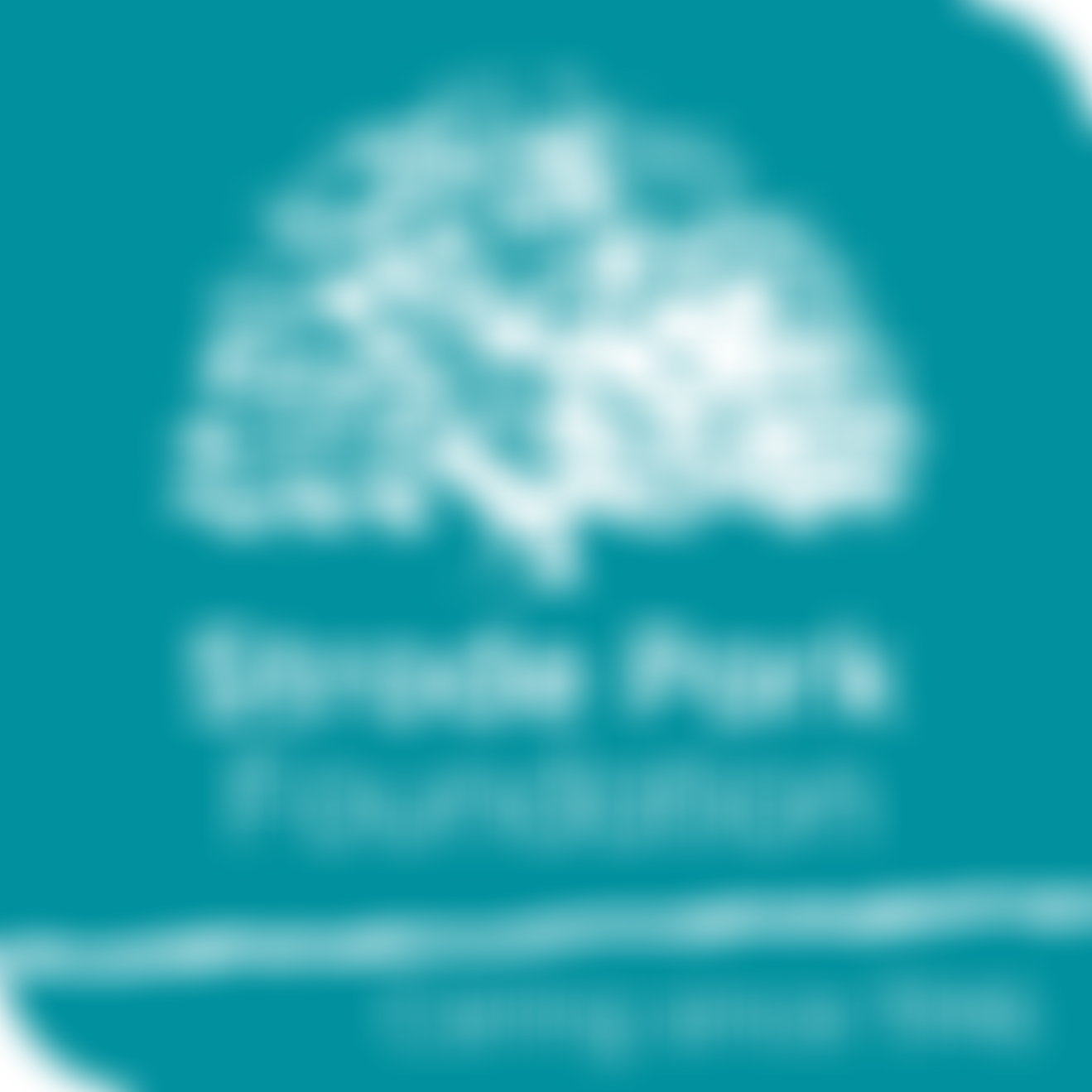 Strode Park Foundation For People With Disabilities | Charici