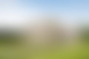 The Wheler Foundation | Charici