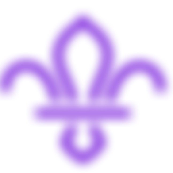 5Th Beckenham South Scout Group | Charici