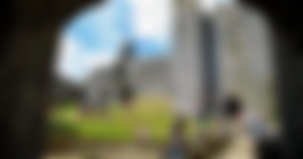 Friends Of Oystermouth Castle | Charici
