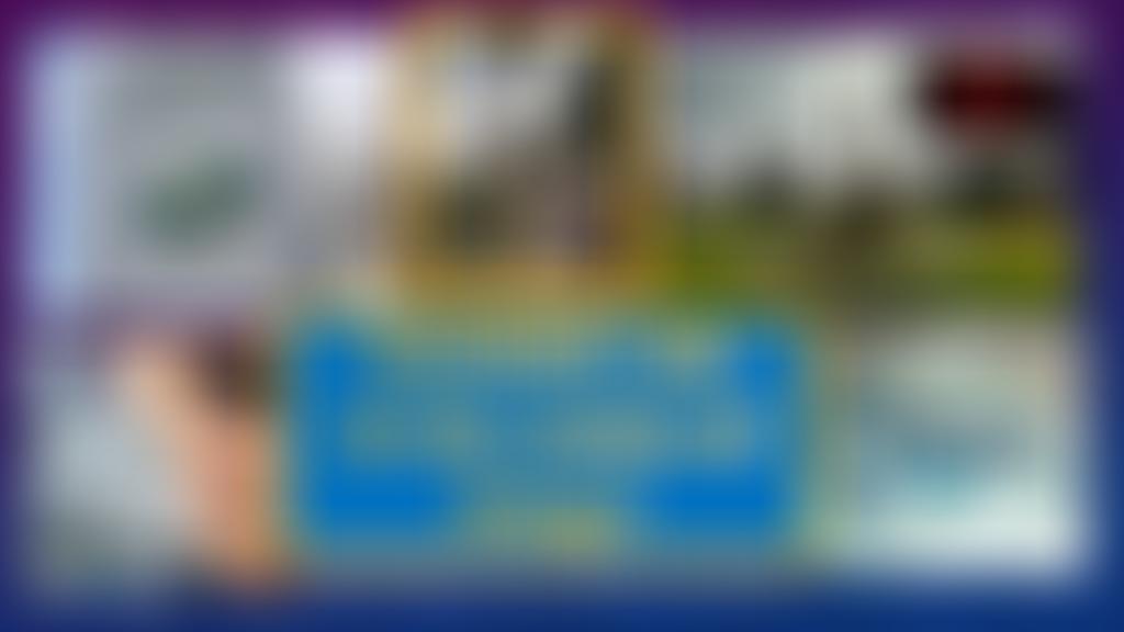 Solihull University Of The Third Age | Charici