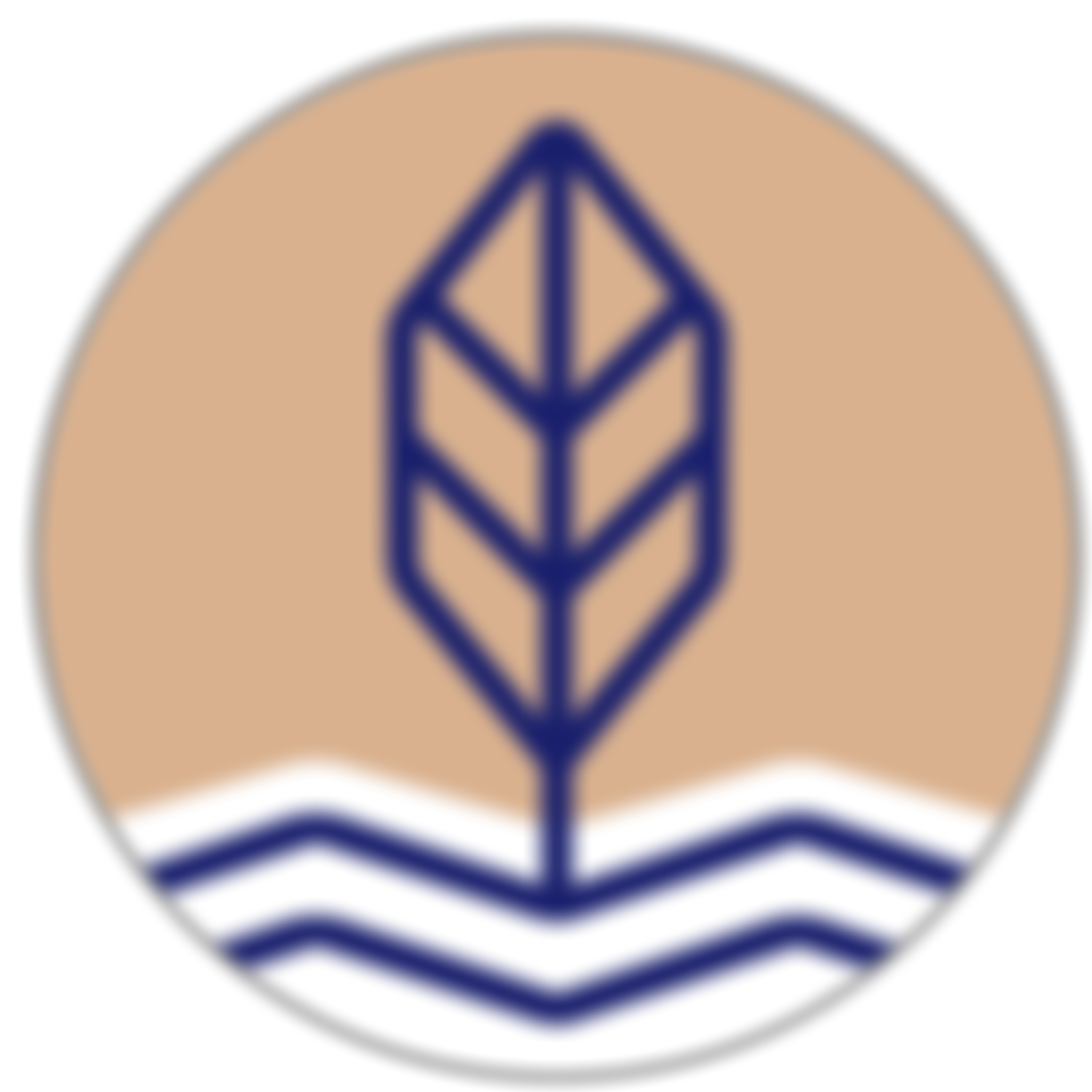 Riverside Vineyard Christian Fellowship | Charici