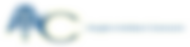 Anglo-Indian Concern | Charici