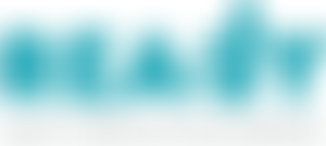 Recreation And Easy Access For Disabled Youth | Charici