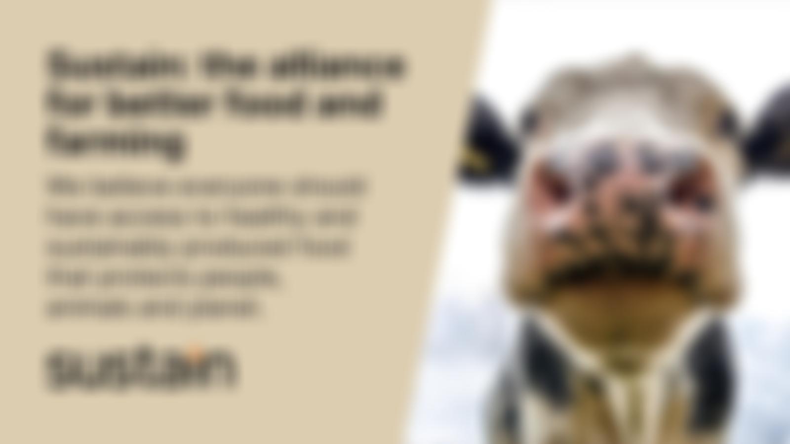 Sustain: The Alliance For Better Food & Farming | Charici