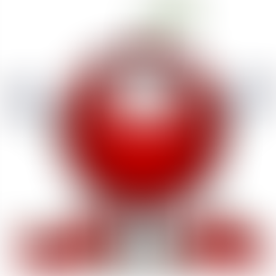 Little Berries Pre-School | Charici