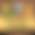 Collingwood Under Fives Pre-School | Charici