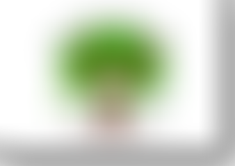 Alphington Primary School Parents Teachers And Friends Association | Charici
