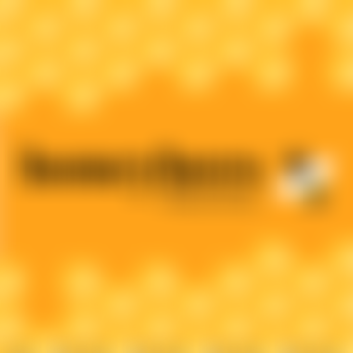 Honeybees Preschool | Charici