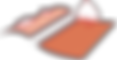 Riverhead Infants School Parents Teachers Association | Charici