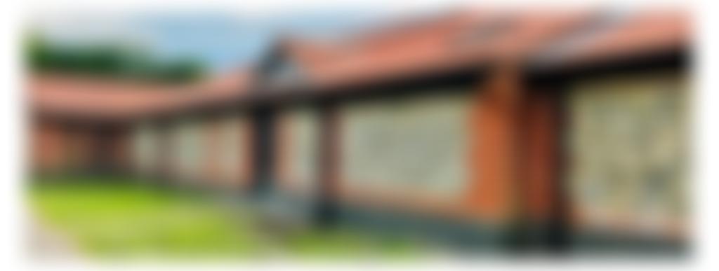 New Buckenham New Village Hall | Charici