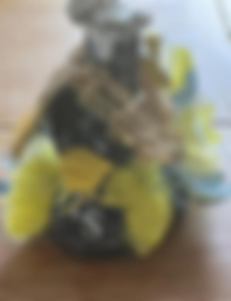 Rotary Club Of Bramhall And Woodford Charities Trust Fund | Charici