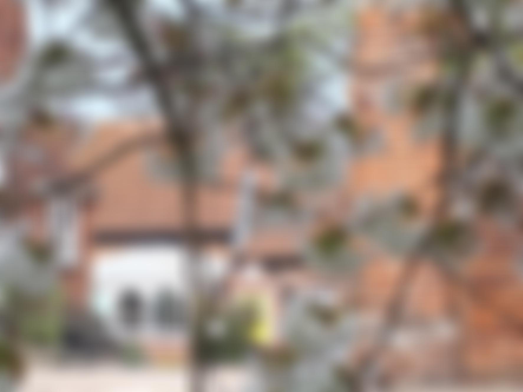 The Community Of All Hallows | Charici