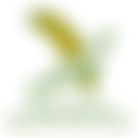 British Guild Of Agricultural Journalists Charitable Trust | Charici