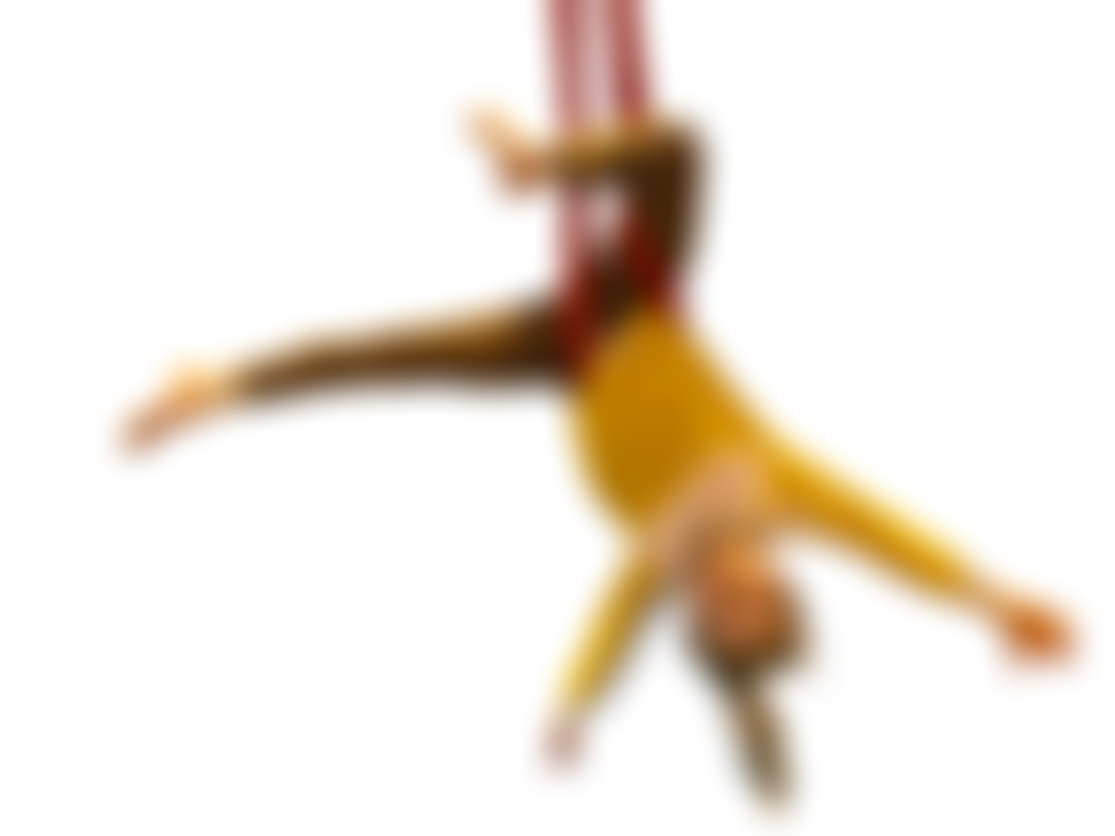 Garfield Weston Foundation | Charici