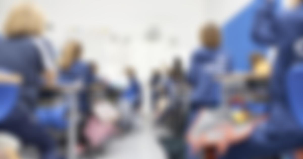 College Francais Bilingue De Londres Ltd | Charici