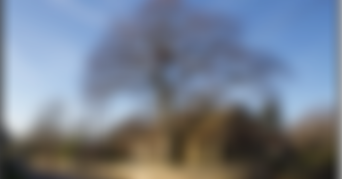 Shutlanger Village Hall | Charici