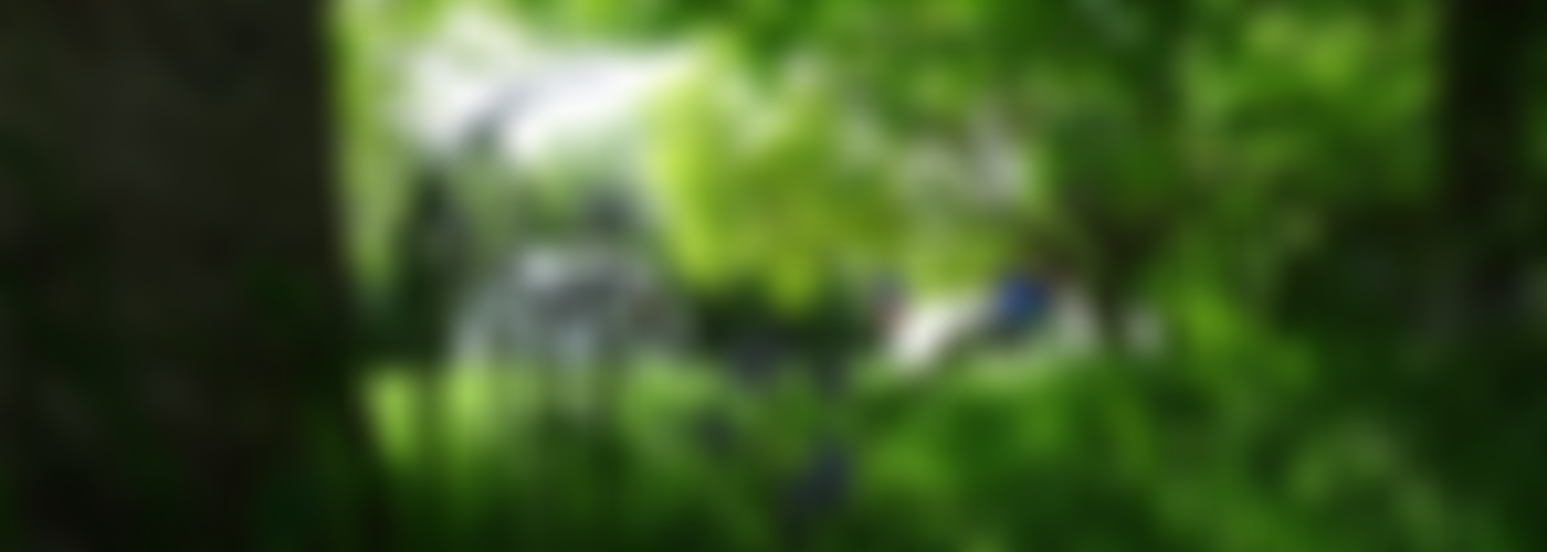 Guides Of Kent - Kent East Guide Association | Charici