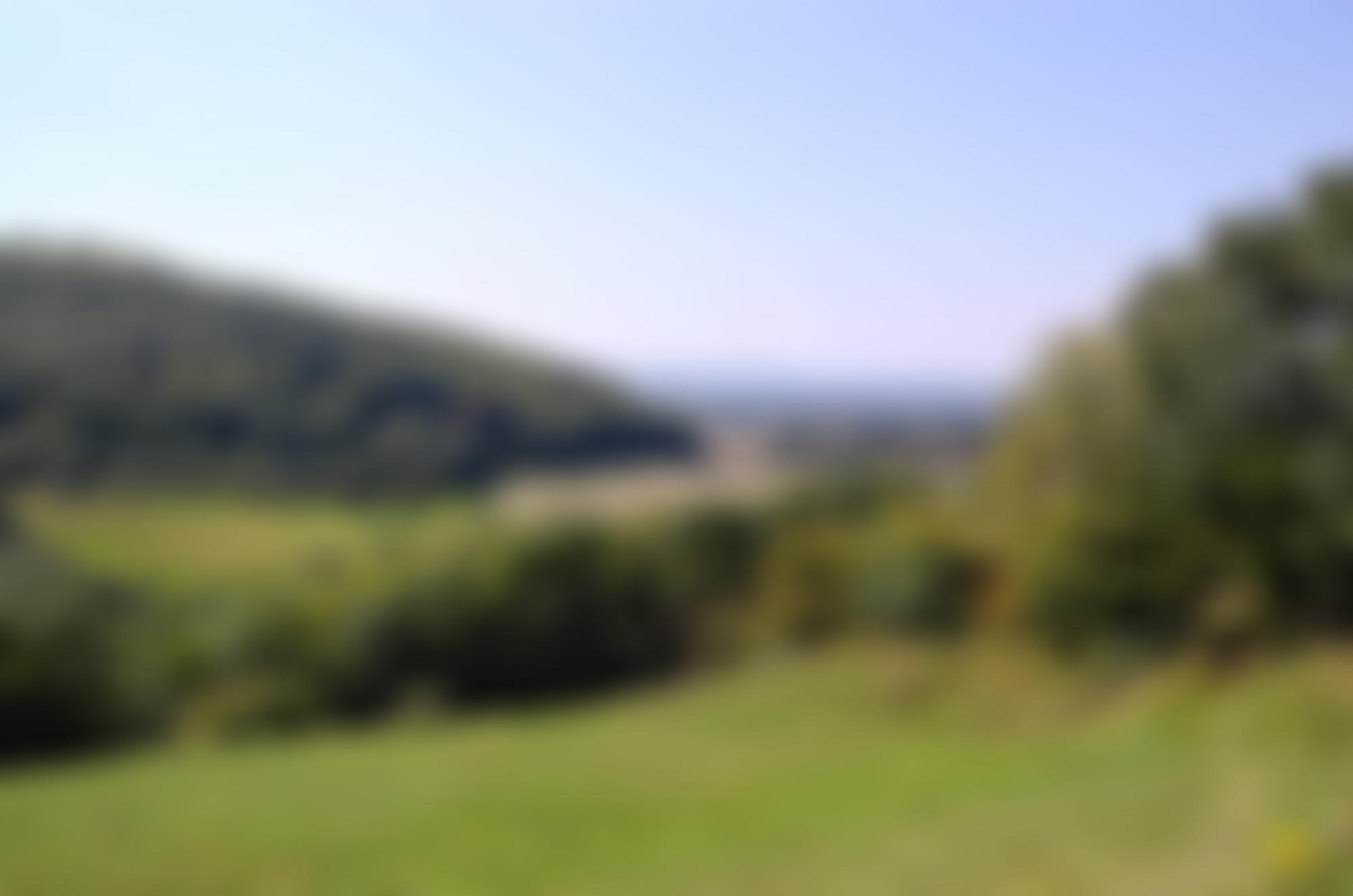 Sussex Rural Community Council | Charici