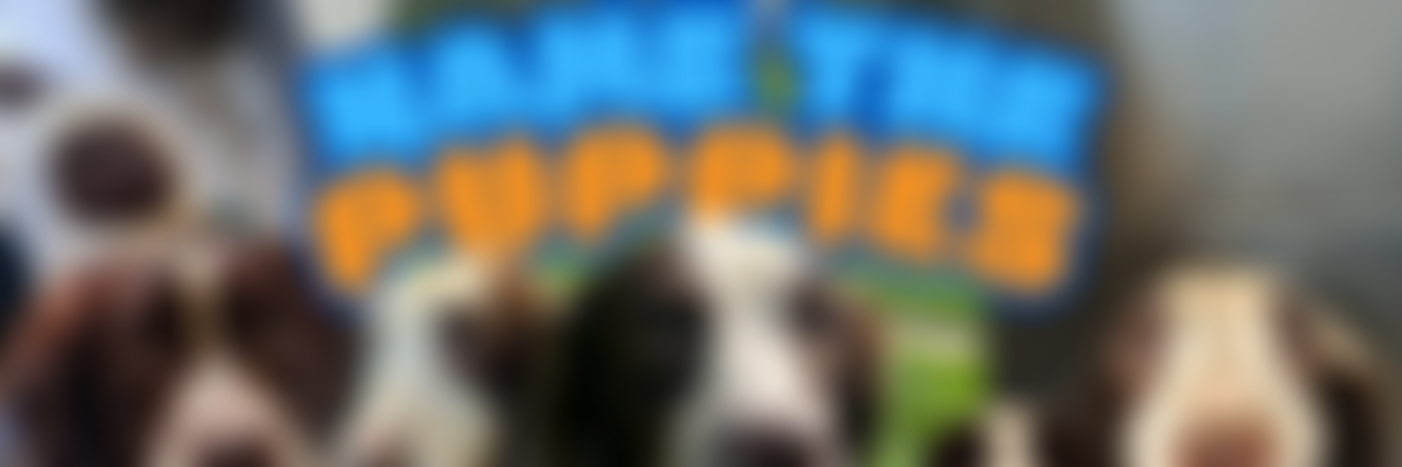 Royal Society For The Prevention Of Cruelty To Animals York, Harrogate And District Branch | Charici