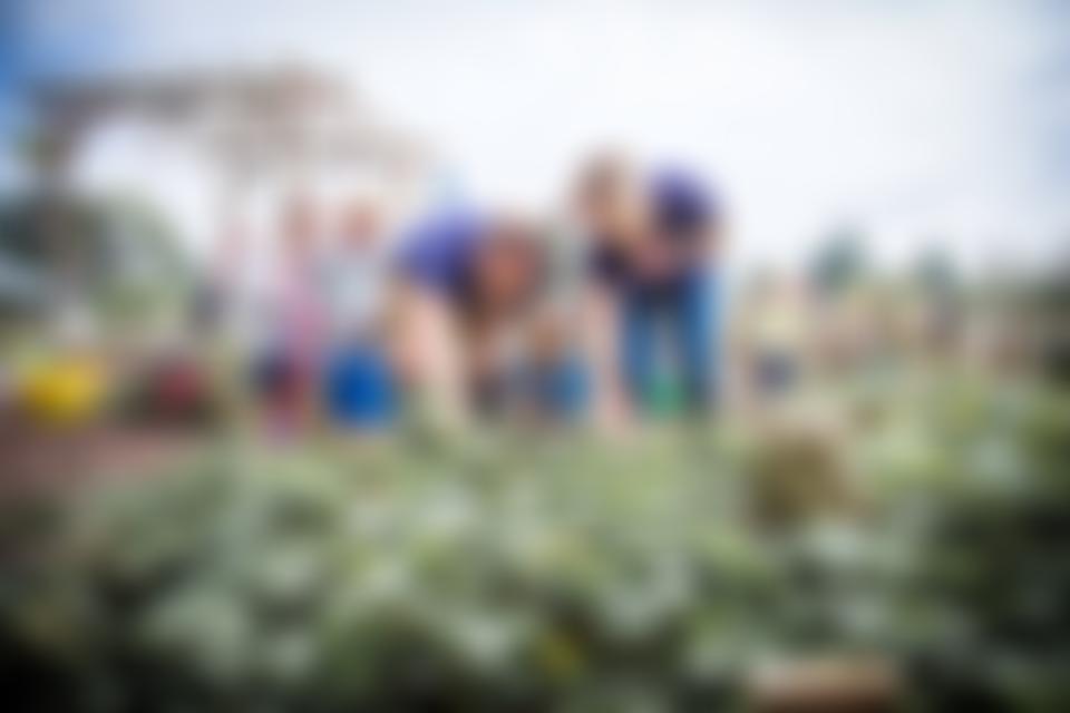 Flamstead Pre-School | Charici