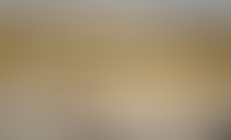 Dartmouth And Kingswear Society | Charici