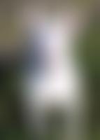 The Bull Terrier Club (UK) Welfare Trust | Charici