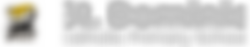 St Dominic (Rc) Primary School (Harpenden) Parent Teacher Association | Charici